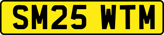 SM25WTM