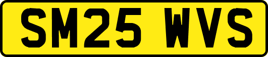 SM25WVS