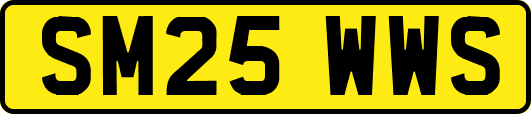 SM25WWS
