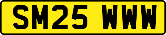 SM25WWW