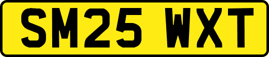 SM25WXT