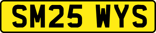 SM25WYS