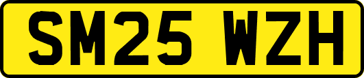 SM25WZH