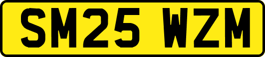 SM25WZM