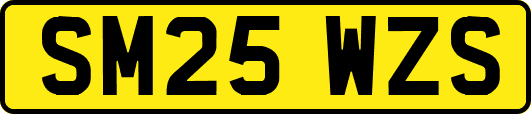 SM25WZS
