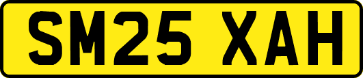 SM25XAH