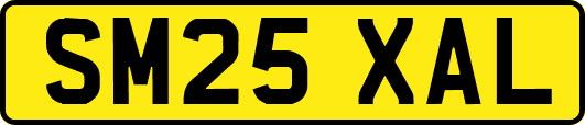 SM25XAL