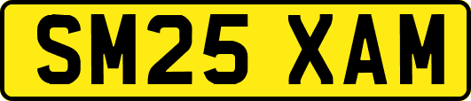 SM25XAM