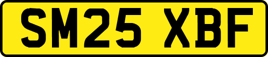 SM25XBF