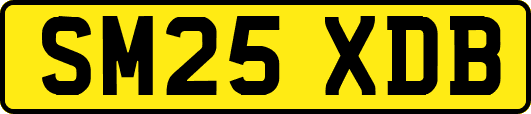 SM25XDB