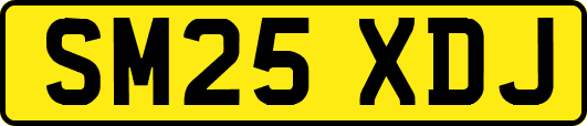 SM25XDJ