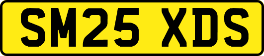 SM25XDS