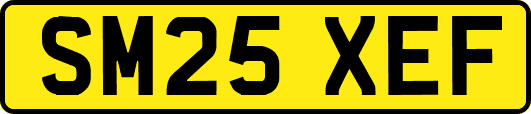 SM25XEF