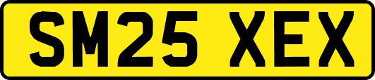 SM25XEX