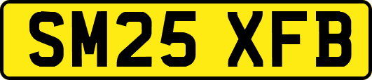 SM25XFB