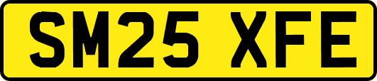 SM25XFE