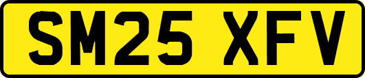 SM25XFV