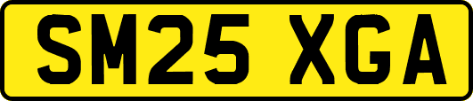 SM25XGA