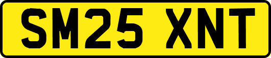 SM25XNT