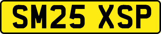SM25XSP