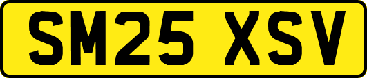 SM25XSV