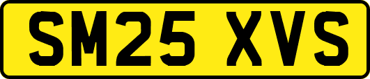 SM25XVS