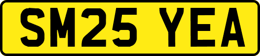 SM25YEA