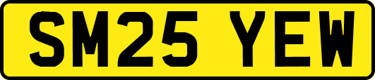 SM25YEW
