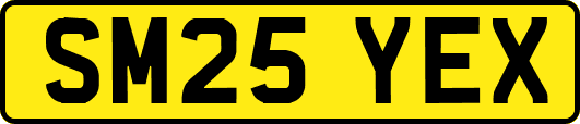 SM25YEX