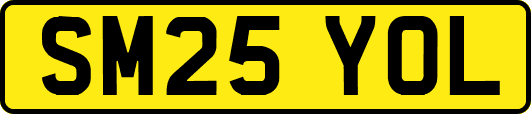 SM25YOL