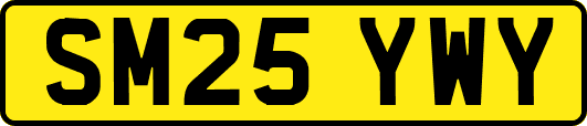 SM25YWY