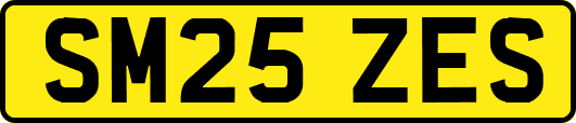 SM25ZES