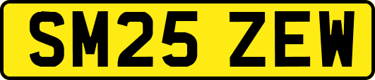 SM25ZEW