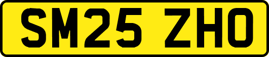 SM25ZHO