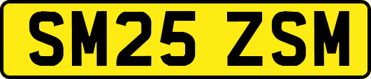SM25ZSM