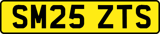 SM25ZTS