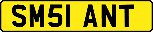 SM51ANT