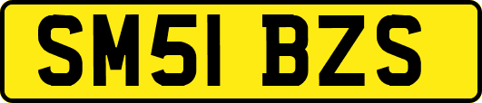 SM51BZS