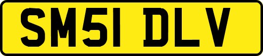 SM51DLV
