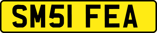 SM51FEA