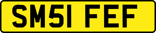 SM51FEF