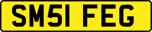 SM51FEG