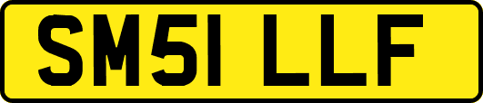 SM51LLF