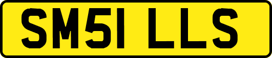 SM51LLS