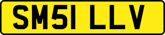 SM51LLV