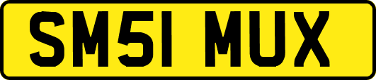 SM51MUX