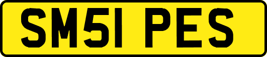 SM51PES
