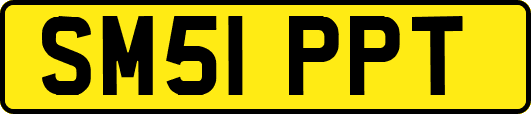 SM51PPT
