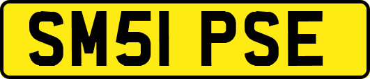 SM51PSE