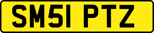 SM51PTZ
